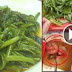 ATTENTION: BE CAREFUL WHEN EATING KANGKONG, IT COULD KILL YOU ANY MOMENT